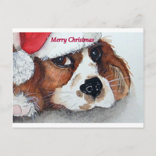 Christmas Cavalier King Charles Spaniel Feiertagspostkarte
