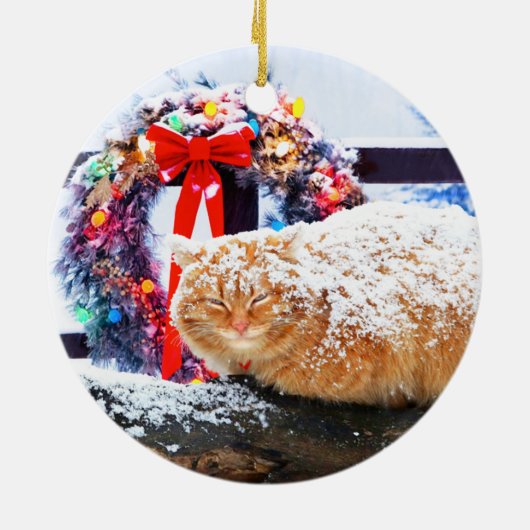 "Christmas Cheeto" Keramik Ornament (Hinten)