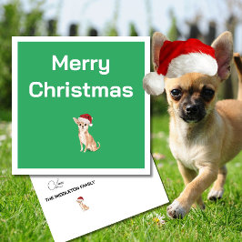 Christmas Chihuahua Dog White Green Merry Gruß
