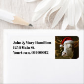 Christmas Cow Wearing a Santa Hat (Insitu)