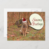 Christmas Coyote Feiertagspostkarte (Vorne/Hinten)