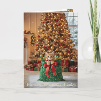 Christmas Decorative Card Feiertagskarte