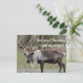 CHRISTMAS DESIGNS FEIERTAGSPOSTKARTE (Stehend Vorderseite)
