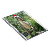 Christmas Dinosaur Santa Claus Notizblock (Rechte Seite)
