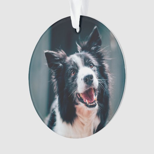 Christmas Dog Photo  Ornament (Vorderseite)