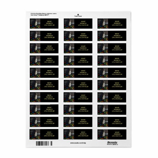 **CHRISTMAS DOG** RÜCKKEHR (Vorne)