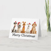 Christmas Dogs Karte (Vorderseite)