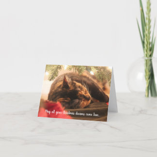 Christmas Dreams Sleeping Calico Cat, Personalized Feiertagskarte