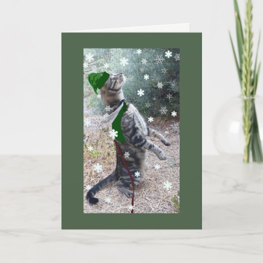 Christmas Elf Tabby Cat Feiertagskarte (Vorderseite)