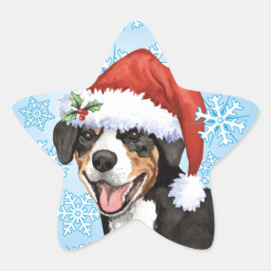 Christmas Entlebucher Stern-Aufkleber