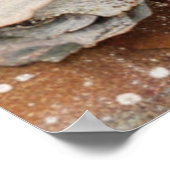 Christmas Ephemera Poster (Ecke)