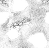 Christmas | Erntedank | Familiengeschenke und Shir Einladung