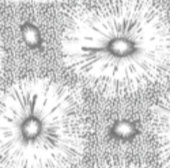 Christmas | Erntedank | Familiengeschenke und Shir Einladung