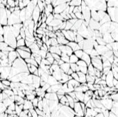 Christmas | Erntedank | Familiengeschenke und Shir Einladung