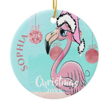 Christmas Flamingo Santa Foto Blue Pink Niedlich