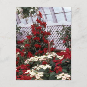 Christmas Floral postcard 2 Feiertagspostkarte