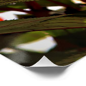 Christmas Flowers Poster (Ecke)