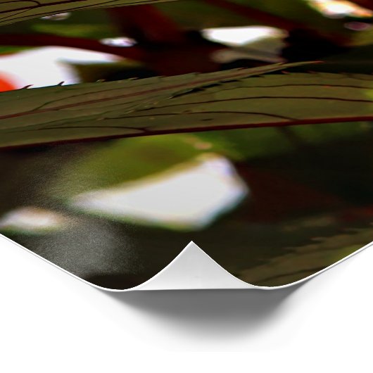 Christmas Flowers Poster (Ecke)