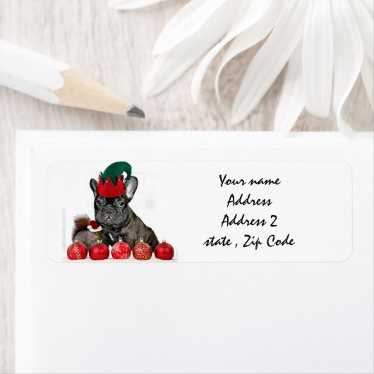 Christmas French Bulldog (Insitu)