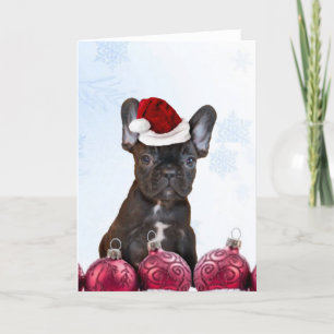 Christmas French Bulldog Feiertagskarte