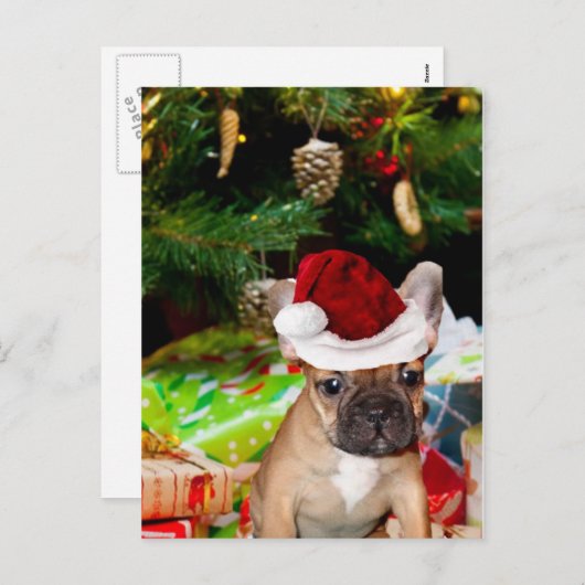 Christmas French Bulldog Feiertagspostkarte (Vorne/Hinten)