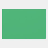 Christmas Frog Jazz Band und Solids Green & Red Geschenkpapier Set (Vorderseite 2)