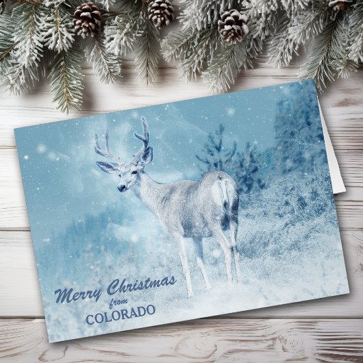 Christmas from Colorado Deer Christmas Card