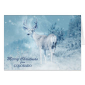 Christmas from Colorado Deer Christmas Card (Vorderseite (Horizontal))