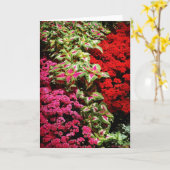 Christmas Garden Elegance Karte (Gelbe Blume)