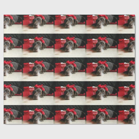 Christmas german shorthaired pointer geschenkpapier (Flach)