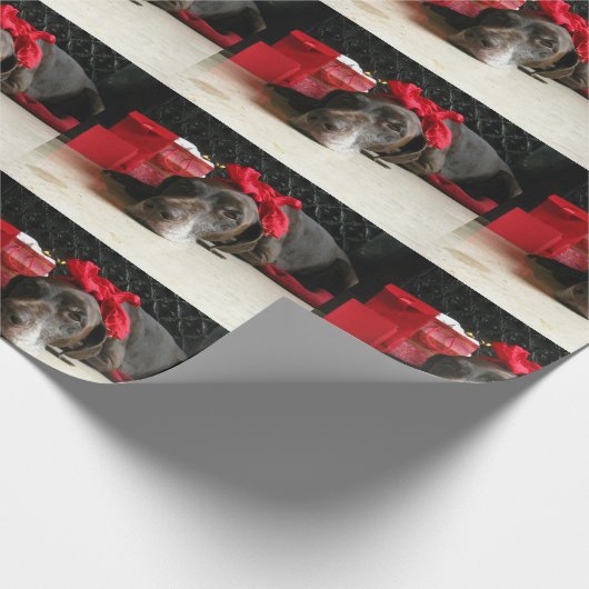 Christmas german shorthaired pointer geschenkpapier (Ecke)
