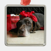 Christmas german shorthaired pointer ornament aus metall (Vorne)