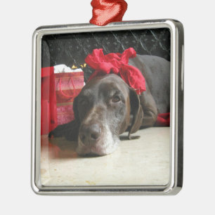 Christmas german shorthaired pointer ornament aus metall