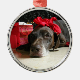 Christmas german shorthaired pointer ornament aus metall