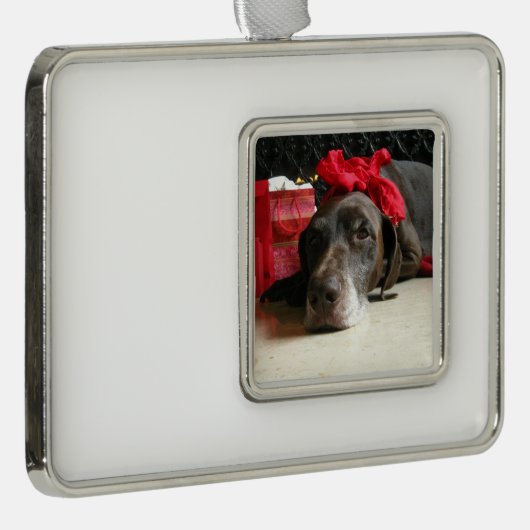 Christmas german shorthaired pointer Rahmen-Ornament silber (Rechts)