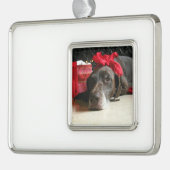Christmas german shorthaired pointer Rahmen-Ornament silber (Links)