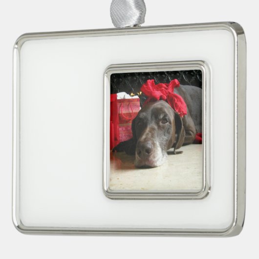 Christmas german shorthaired pointer Rahmen-Ornament silber (Links)