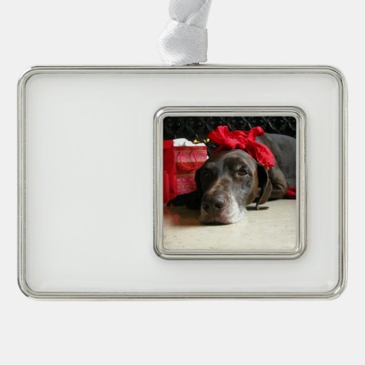 Christmas german shorthaired pointer Rahmen-Ornament silber (Vorderseite)