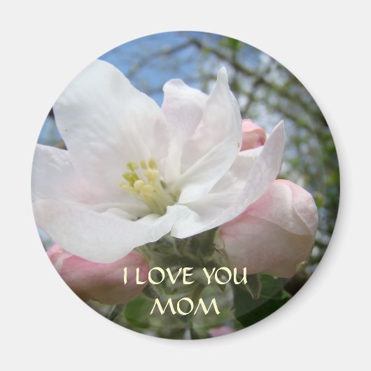 CHRISTMAS GIFTS MOTHERS Apple Blossoms Magnet (Vorne)