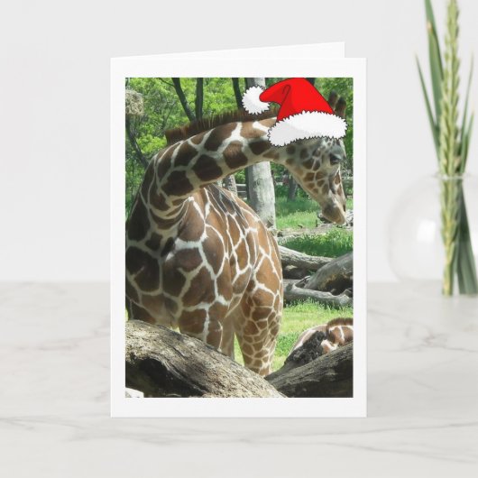 Christmas Giraffe Feiertagskarte (Vorderseite)