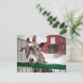 Christmas Goat Feiertagspostkarte (Stehend Vorderseite)