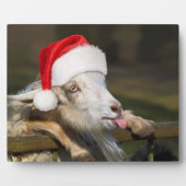 Christmas Goat Fotoplatte (Vorderseite)