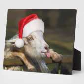 Christmas Goat Fotoplatte (Seite)