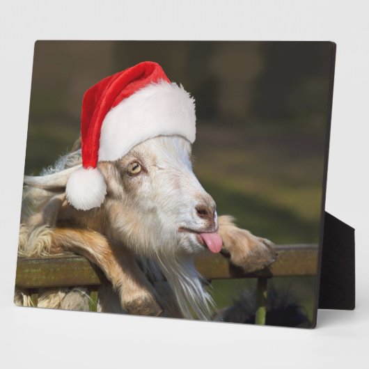 Christmas Goat Fotoplatte (Seite)