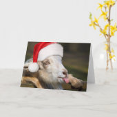 Christmas Goat Karte (Gelbe Blume)