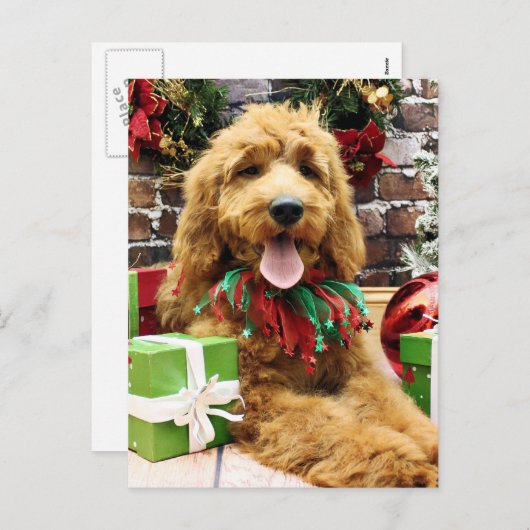 Christmas - GoldenDoodle - Claire Feiertagspostkarte (Vorne/Hinten)