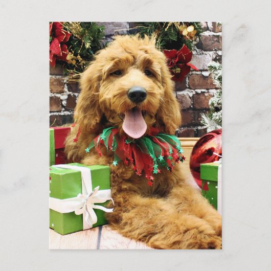 Christmas - GoldenDoodle - Claire Feiertagspostkarte (Vorderseite)