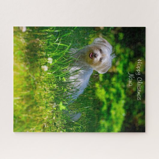 Christmas Granny Puzzle (Horizontal)