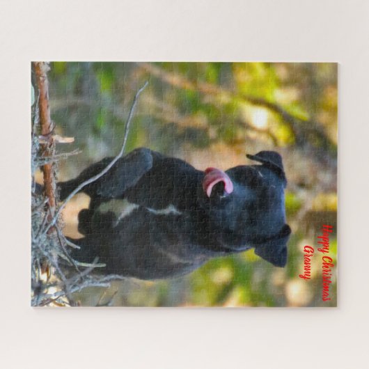 Christmas Granny Puzzle (Horizontal)