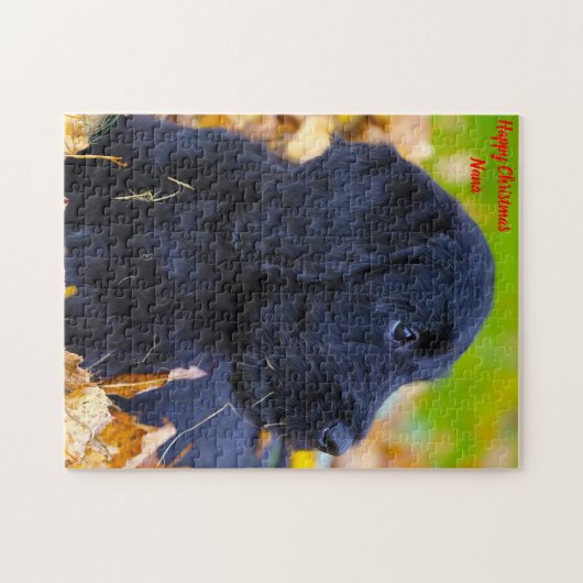 Christmas Granny Puzzle (Horizontal)